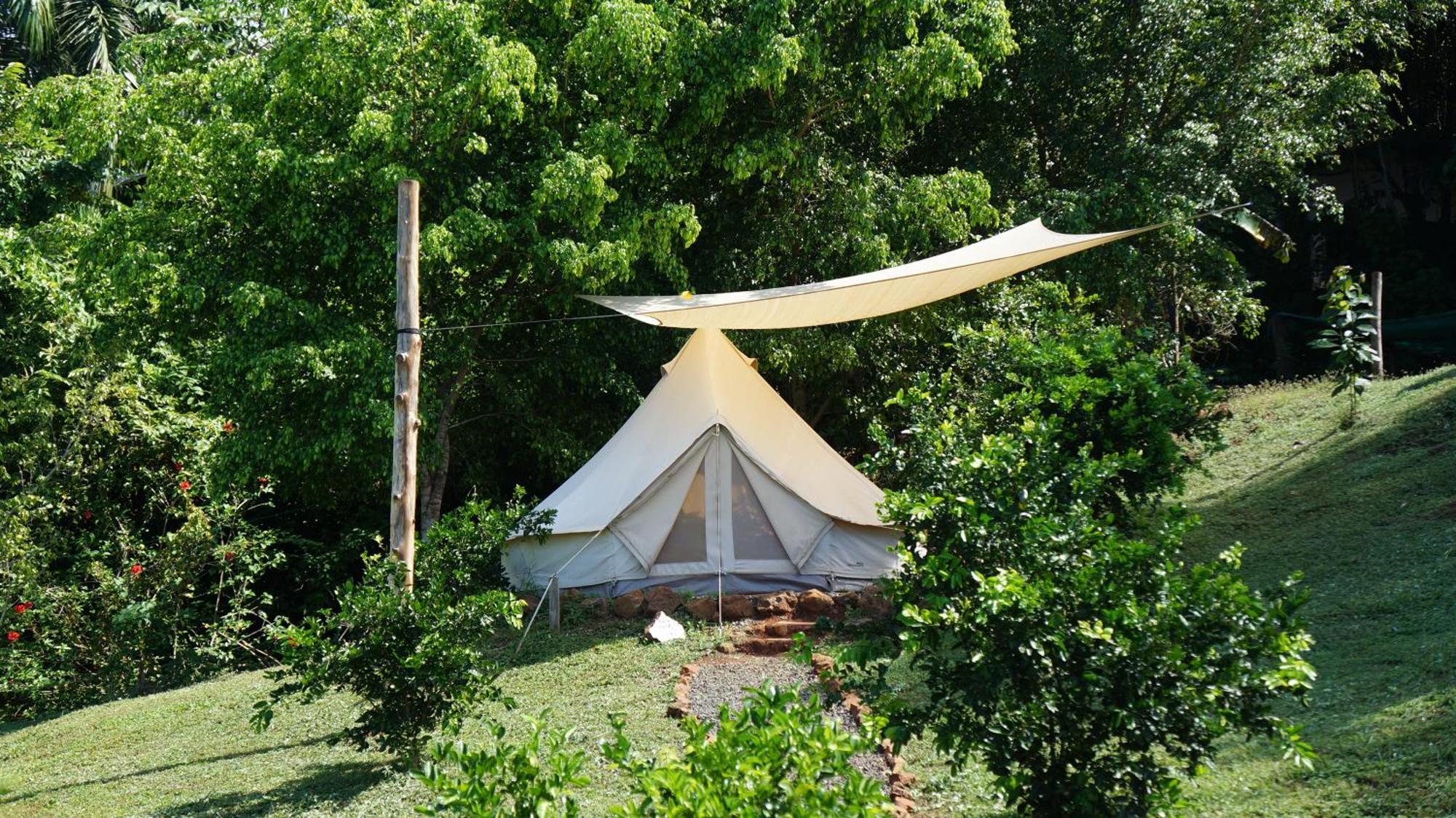 Auberge de jeunesse Alouatta Playa Coyote à San Francisco de Coyote Extérieur photo