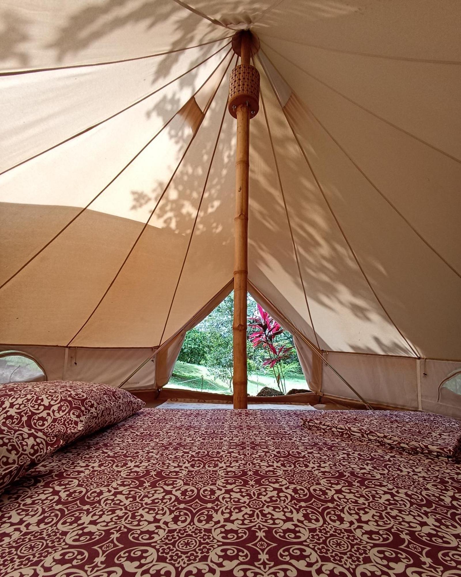 Auberge de jeunesse Alouatta Playa Coyote à San Francisco de Coyote Extérieur photo