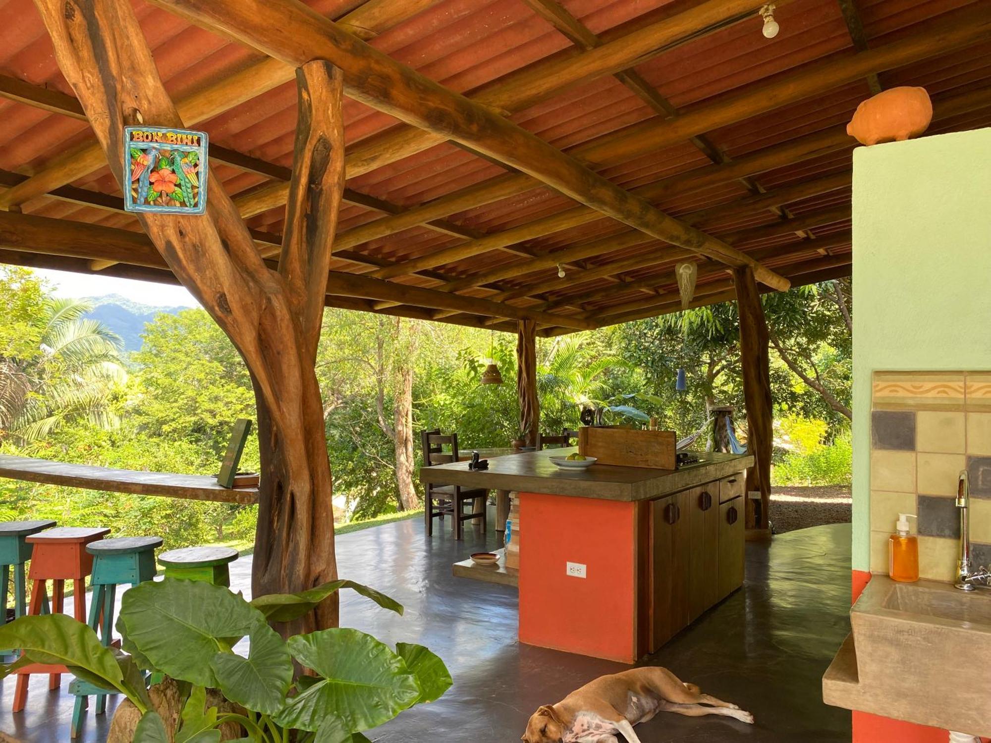 Auberge de jeunesse Alouatta Playa Coyote à San Francisco de Coyote Extérieur photo