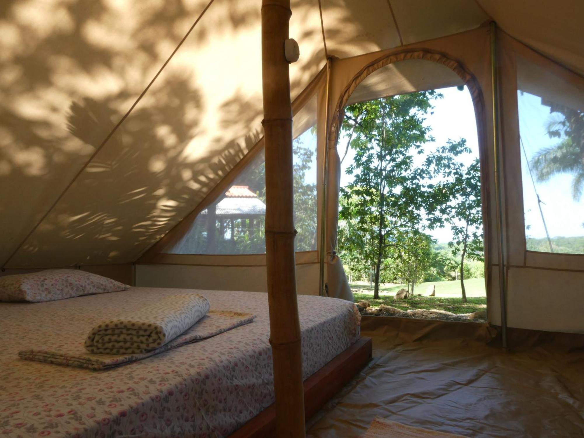 Auberge de jeunesse Alouatta Playa Coyote à San Francisco de Coyote Extérieur photo