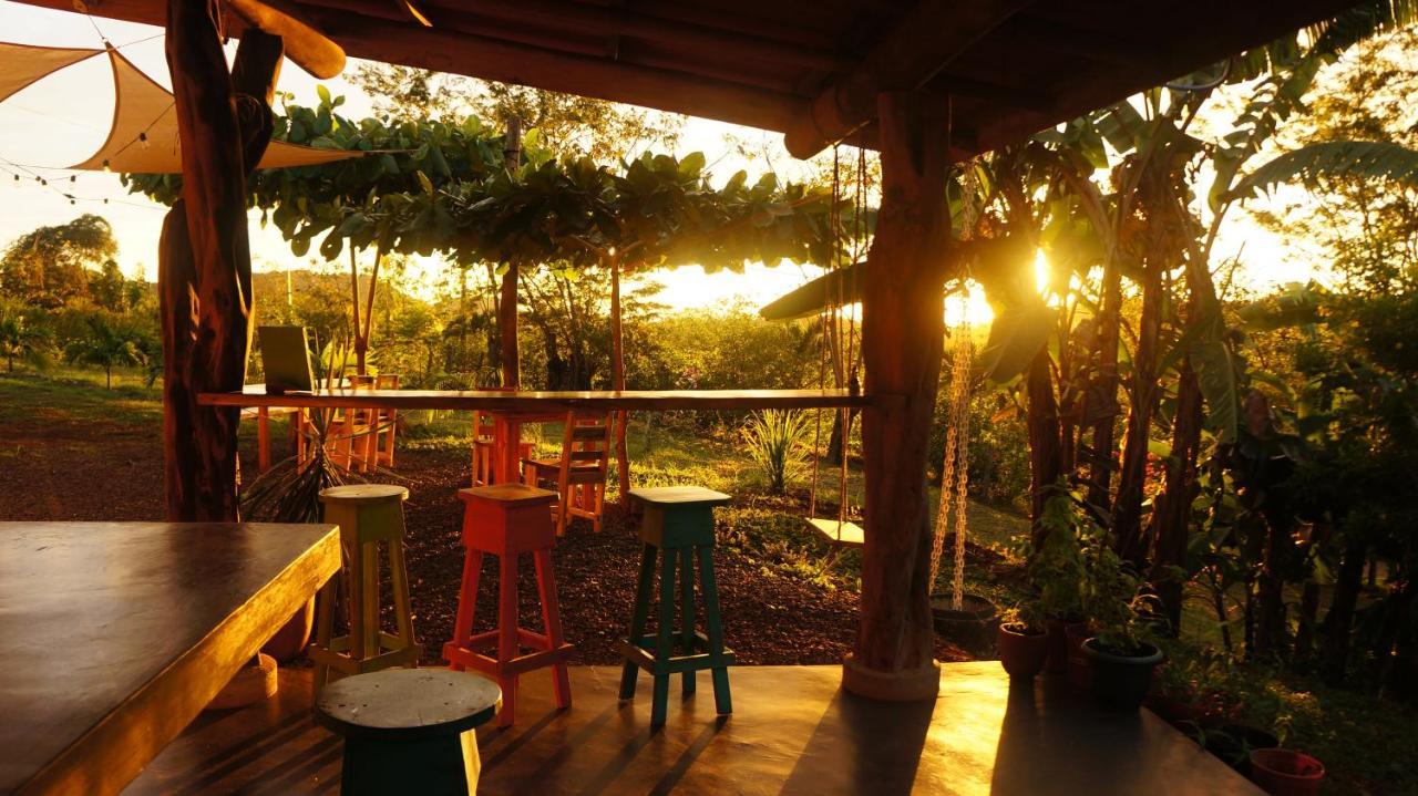 Auberge de jeunesse Alouatta Playa Coyote à San Francisco de Coyote Extérieur photo